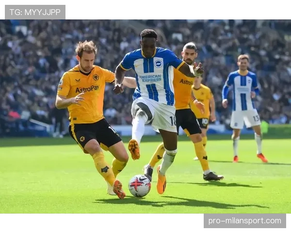 丹尼维尔贝克老当益壮 布莱顿锋线经验宝贵